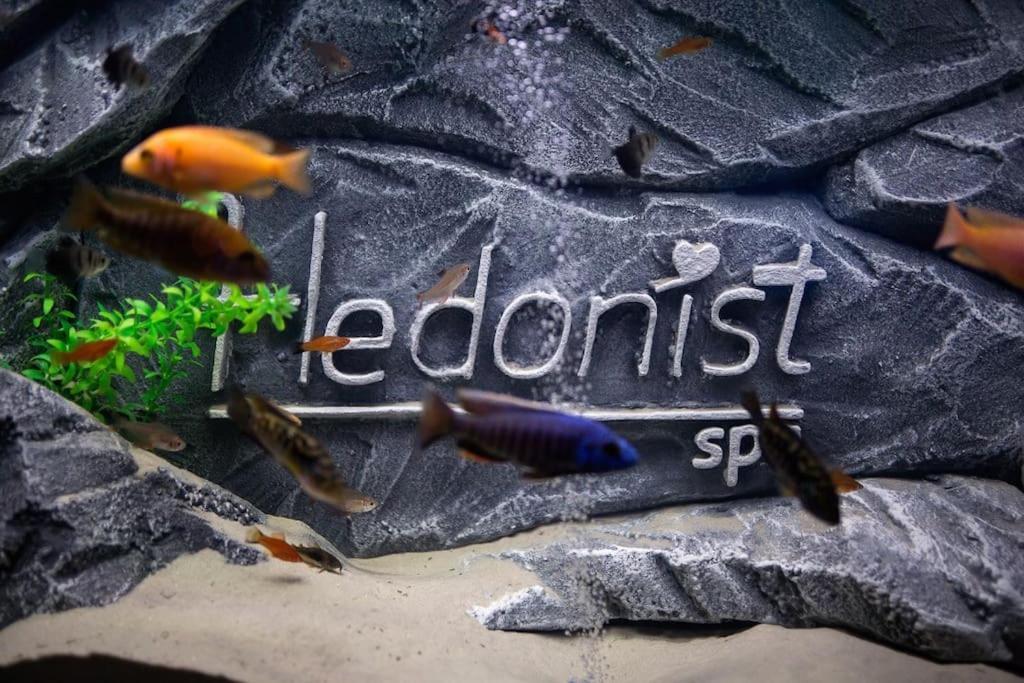 Hedonist-Belgrade Central Nest 외부 사진